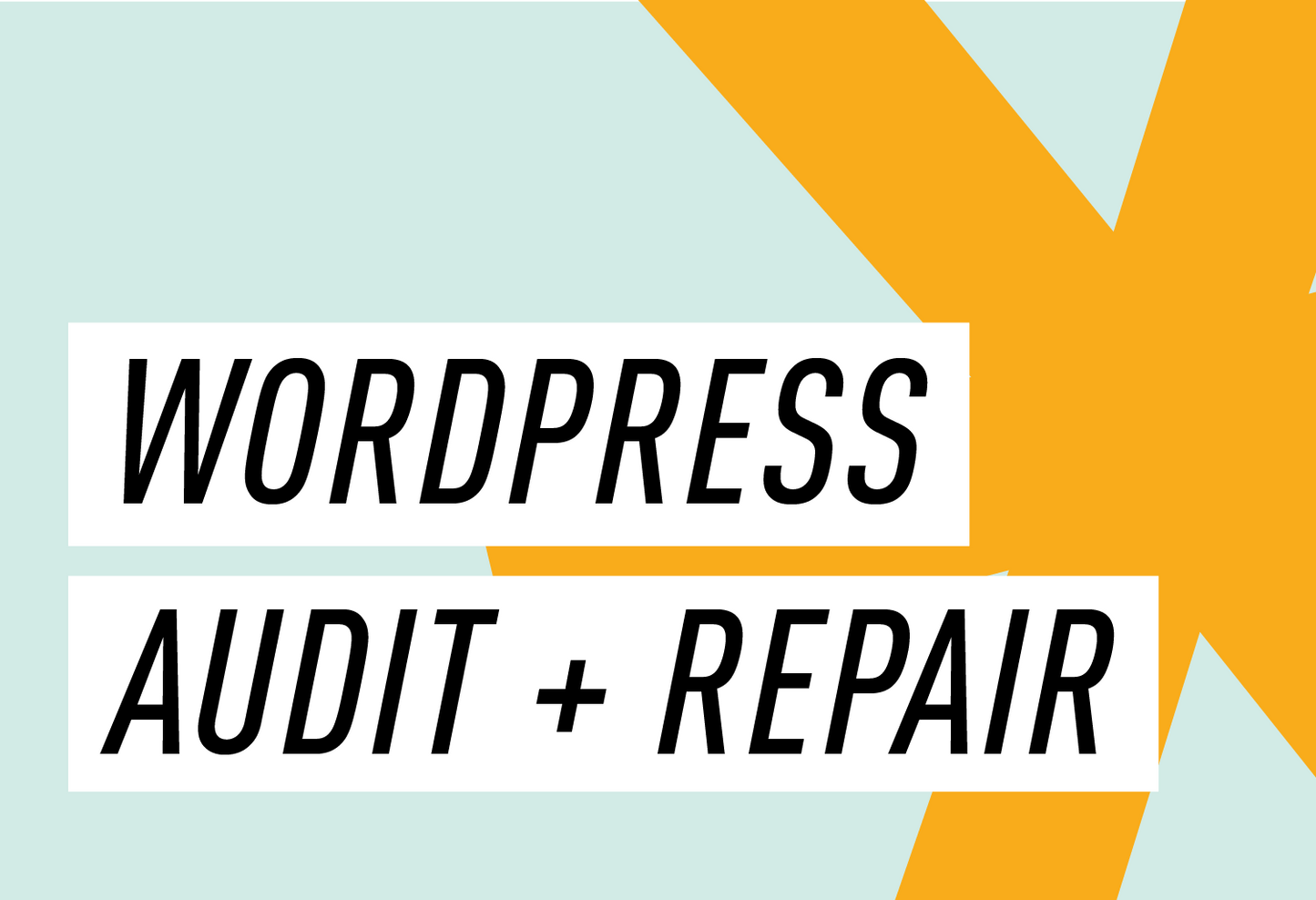 WordPress Audit + Repair - Anchor DBC